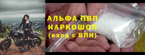 сатива Абаза