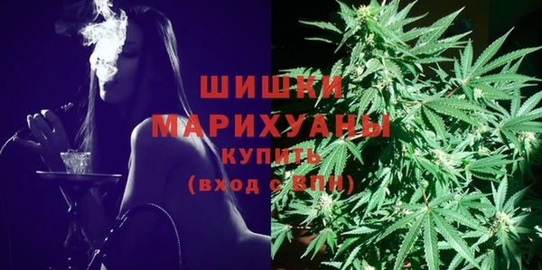 шишки Абинск