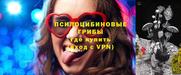 дмт Алексин