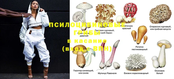 дмт Алексин